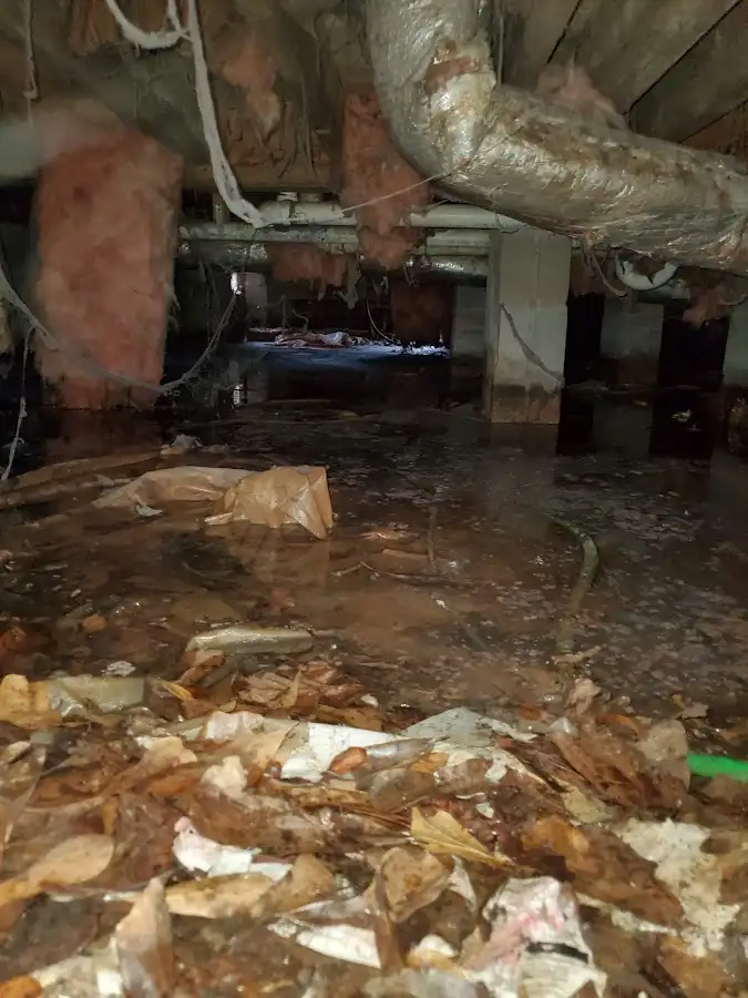 Crawl space flood assessment for Leak Detection & Repair in Grand Blanc