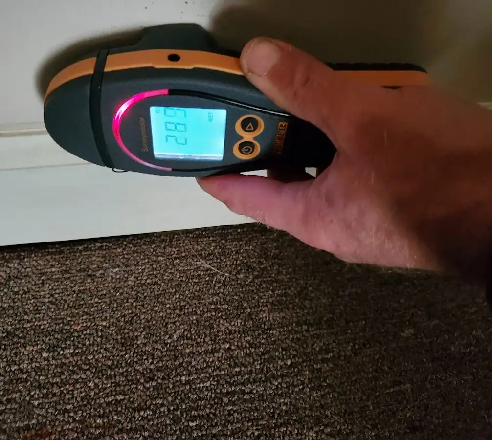 Moisture detection at baseboard during Burst Pipe Cleanup in Grand Blanc